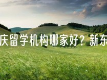 重庆留学机构哪家好？新东方助你实现留学梦想！